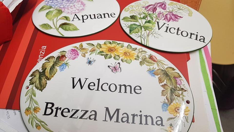 Brezza Marina Bed & Breakfast Marina Di Carrara Eksteriør bilde